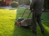 landscape maintenance business san