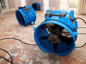 disaster restoration franchise huntsville