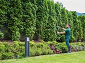 thriving exterior property maintenance