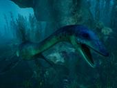 amazing hologram zoo boise