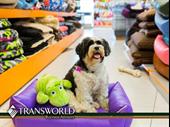 established profitable pet dog