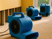 water mold fire one