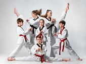 turnkey neighborhood martial arts