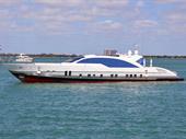 marine automatic door business