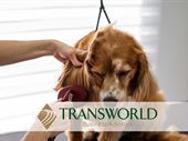 established dog grooming business