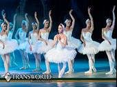 established premier performing arts