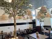 fast casual restaurant specialty