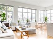 eco-friendly non-toxic mold remediation