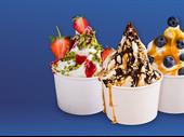 yogurt shop for sale