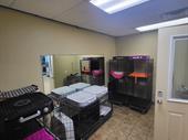pet grooming business north