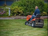 lawn maintenance landscaping tree