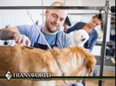 pet grooming business be