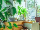 established wellness sanctuary available