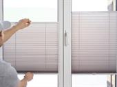 established profitable window treatment