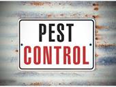 establised pest control biz