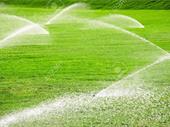irrigation business tampa