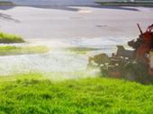 turnkey lawn business lakeland