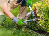 established commercial landscaper with