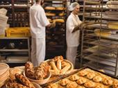 turnkey wholesale bakery pastry