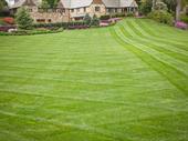 growing lawn care business