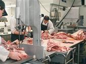 usda approved meat processing