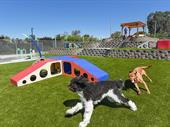 thriving pet-resort offering premium