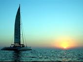 mexican cruise charter business