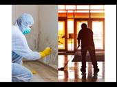 35-year cleaning mold remediation