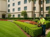 commercial landscaping business with