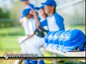 baseball academy franchisor florida