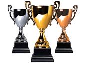 profitable dallas area awards