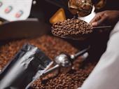coffee roasting business with
