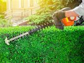 reputable landscaping business with