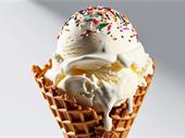 established ice cream franchise