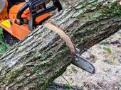 turn key tree service
