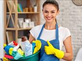 established cleaning business with