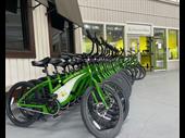 profitable electric bike rental