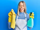 lucrative online cleaning business