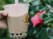 franchise bubble tea shop