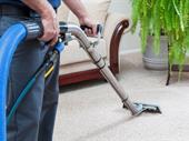 carpet cleaning services with
