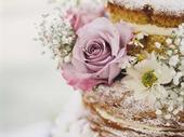 illinois caterer chicago