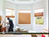 thriving blinds shades franchise