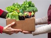 wholesale food distribution