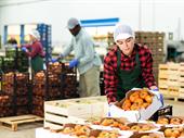 busy wholesale produce company