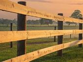 profitable top rail fence
