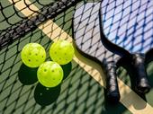pickleball franchise nation s