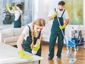 thriving cleaning business opportunity