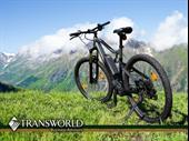 e-bike store desirable palm