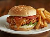 newly renovated fast casual