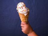 artisan ice cream business
